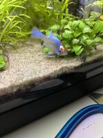 IMG_0399.jpeg