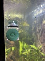 IMG_7013.jpeg