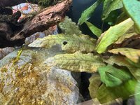 IMG_5340.jpeg