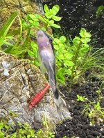 IMG_5605.jpeg