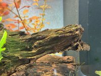 IMG_5741.jpeg