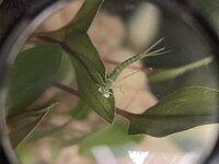 IMG_6993.jpeg