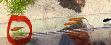 IMG_0868.jpeg