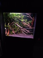 20250405_213045.jpg