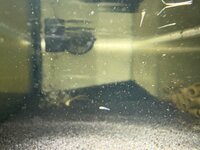 IMG_2228.jpeg