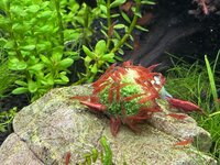 IMG_5844.jpeg