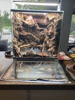 IMG_7959.jpeg