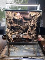 IMG_7958.jpeg