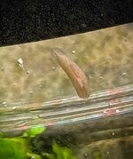 IMG_5876.jpeg