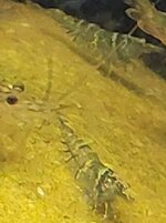 20250516_131857.jpg