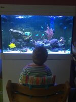 IMG_2285.JPG IMG_2285.JPG