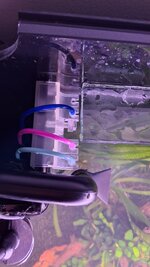 20250521_220646.jpg