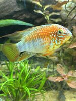 IMG_1167.jpeg