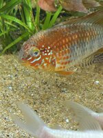IMG_1161.jpeg