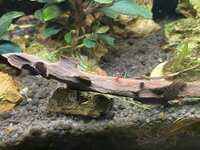 IMG_1041.jpeg