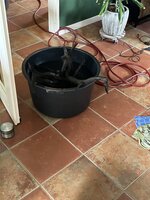 IMG_2117.jpeg