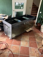 IMG_2122.jpeg