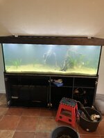 IMG_2125.jpeg