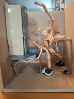 20250529_180448.jpg