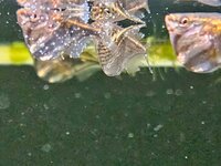 20250529_161608.jpg