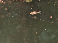20250608_131732.jpg