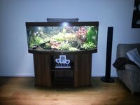 20130317_000621.jpg