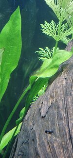 20250616_193007.jpg