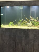 IMG_2160.jpeg