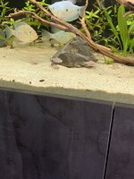 IMG_2165.jpeg
