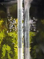 IMG_8920.jpeg