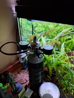 20250624_174110.jpg