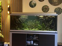 IMG_9589.jpeg