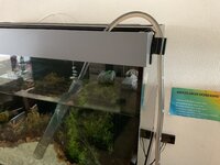 IMG_0001.jpeg IMG_0001.jpeg