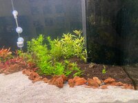 IMG_1099.jpeg IMG_1099.jpeg