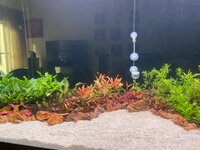 IMG_1097.jpeg IMG_1097.jpeg