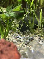 IMG_6162.jpeg