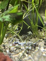 IMG_6163.jpeg