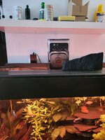 20250630_105721.jpg