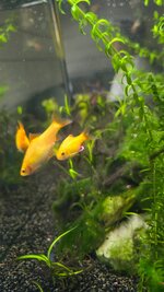 20250703_210730.jpg