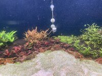 IMG_0004.jpeg IMG_0004.jpeg