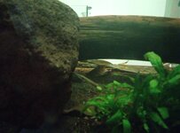 IMG_20250706_175240_272.jpg