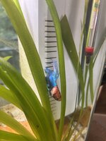 IMG_3406.jpeg