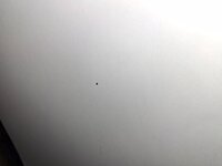 20250627_180620.jpg