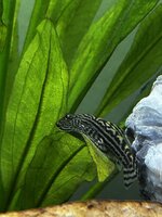 IMG_4180.jpeg