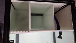 20250723_090948.jpg 20250723_090948.jpg