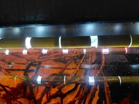 20250728 licht.jpg