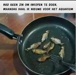 1277FFDB-CF22-4487-8AD5-16E237C3F0E1.jpeg