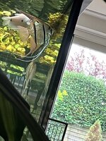 IMG_2273.jpeg