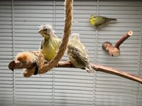 IMG_3178.jpg