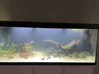 IMG_2552.jpeg